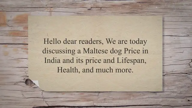 'Video thumbnail for Maltese dog price in India In 2022 – At Best Price, Lifespan, Health and More'