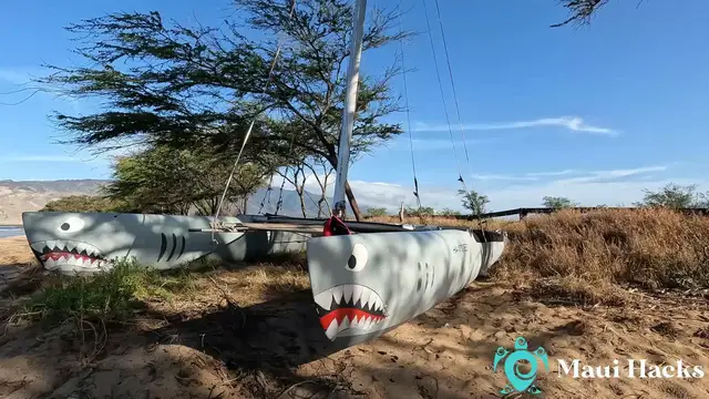 'Video thumbnail for A Sharkface Boat Along Kihei Beach'