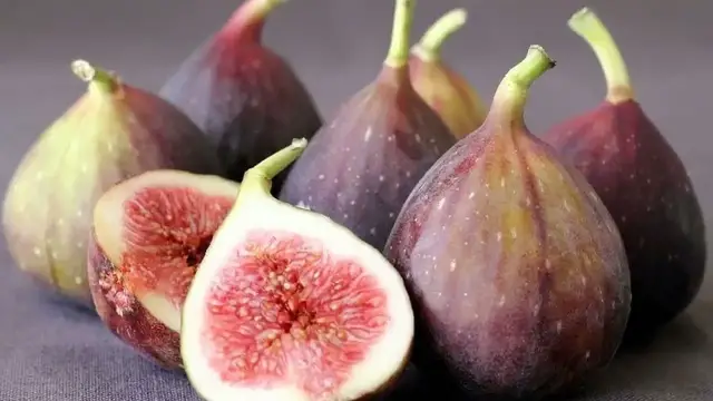 'Video thumbnail for Can Dogs Eat Figs? | Cute Dog Videos | Pawesomepuppy'