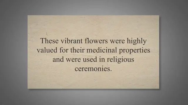 'Video thumbnail for Blooming Together: Unveiling the Marigold-Tomato Connection for a Thriving Garden'