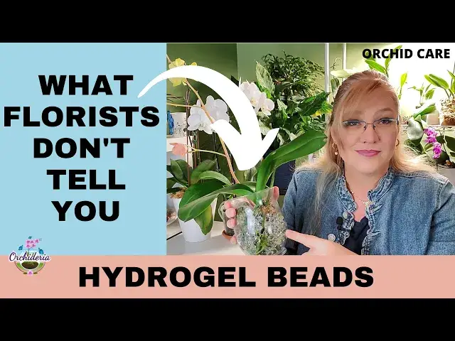 'Video thumbnail for Orchids & Hydrogel Beads: The Positive and The Negative'