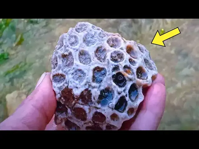 'Video thumbnail for Man Kept This Rock For Years, Cracked It Open And Found This'