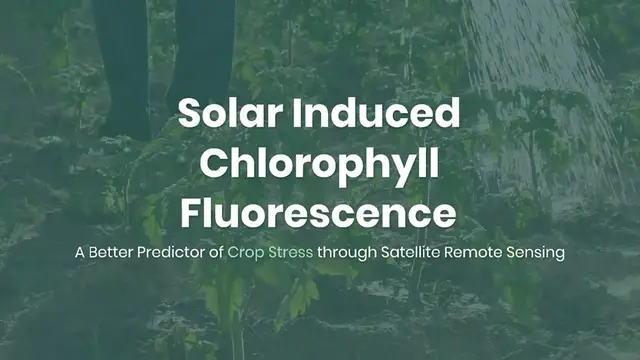 'Video thumbnail for Solar Induced Chlorophyll Fluorescence for Crop Stress Monitoring'