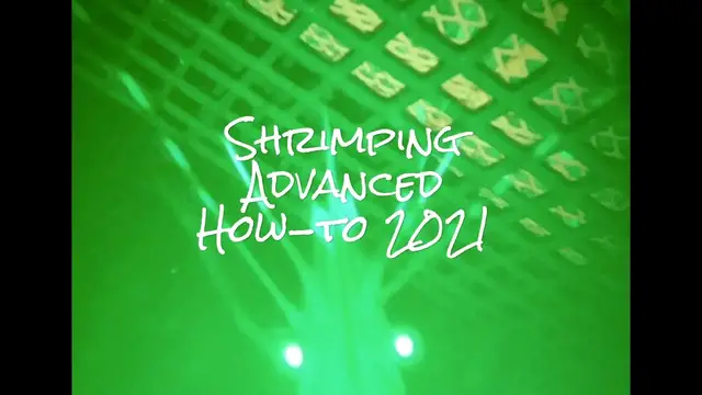 'Video thumbnail for Shrimping Advanced How to 2021'