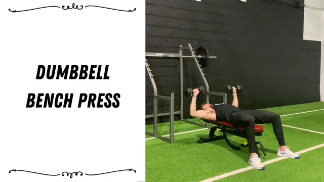 'Video thumbnail for Dumbbell Bench Press'