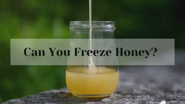 'Video thumbnail for Can You Freeze Honey?'