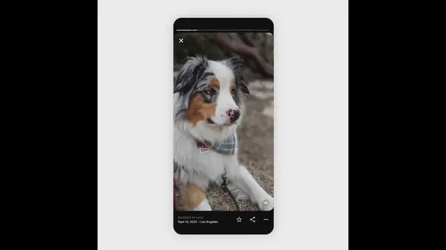 'Video thumbnail for Google Photos Redesigned Memories'