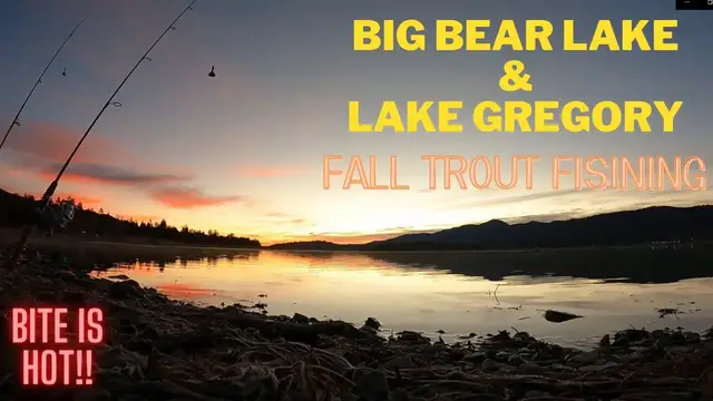 'Video thumbnail for Big Bear Lake & Lake Gregory Fall Fishing || 30 Trout from Shore using Carolina Rig || Bite is HOT!!'