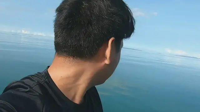 'Video thumbnail for Whale Shark Encounter '