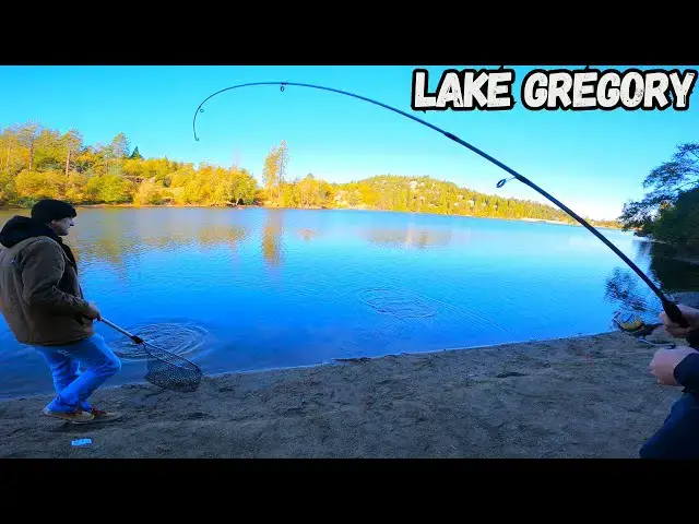 'Video thumbnail for Fishing for HUNGRY Stocked Trout from Shore | Lake Gregory'