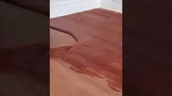 'Video thumbnail for Top 10 Wood Fillers Repair Hole and 16000 Woodworking Project Pack #Shorts @Clips2Click'
