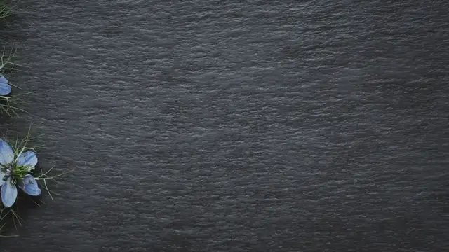 'Video thumbnail for What Color Are Baby Ducks? (Secret REVEALED!) 2023 » Petybird.com'