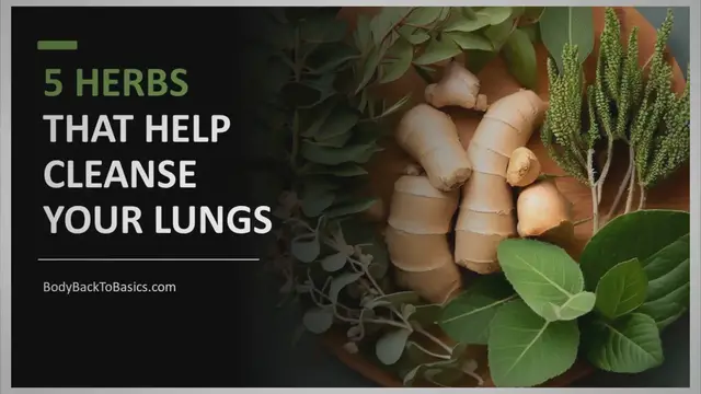 'Video thumbnail for 5 Herbs that Help Cleanse your Lungs'