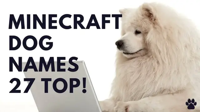 'Video thumbnail for Minecraft Dog Names 27 TOP & BEST & CUTE Ideas'
