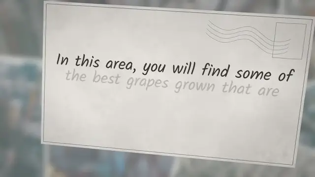 'Video thumbnail for What Grapes Are Used in Champagne?'
