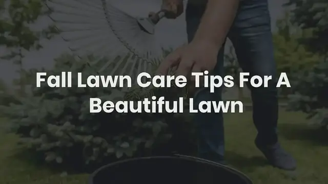 'Video thumbnail for Fall Lawn Care Tips'