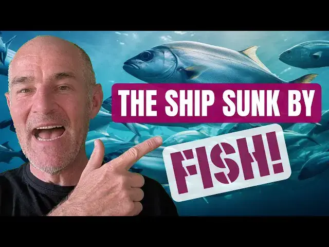 'Video thumbnail for The Fish That Sank a SHIP!'
