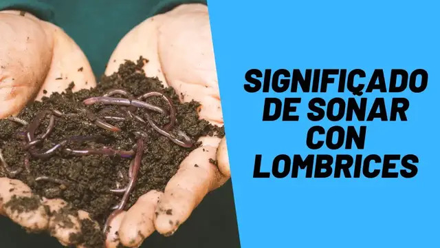 'Video thumbnail for Significado de soñar con lombrices'