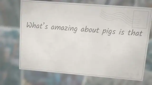'Video thumbnail for What Are The Cleanest Animals in The World'