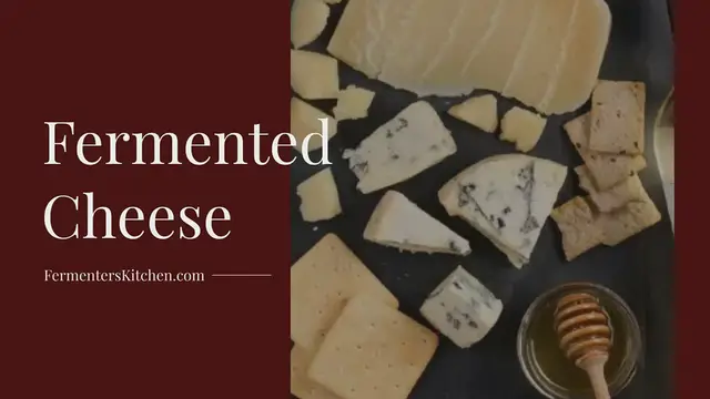 'Video thumbnail for Fermented Cheese'