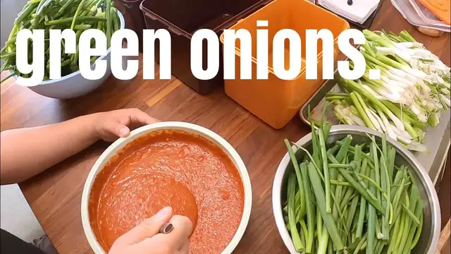 'Video thumbnail for How to Make Korean Green Onion Kimchi | PA KIMCHI #파김치'