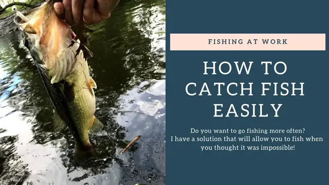 'Video thumbnail for How To Catch Fish Easily'
