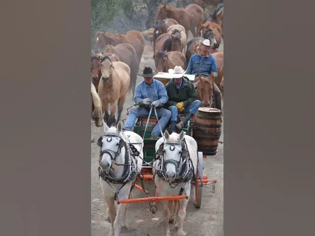 'Video thumbnail for Cooking for Cowboys'