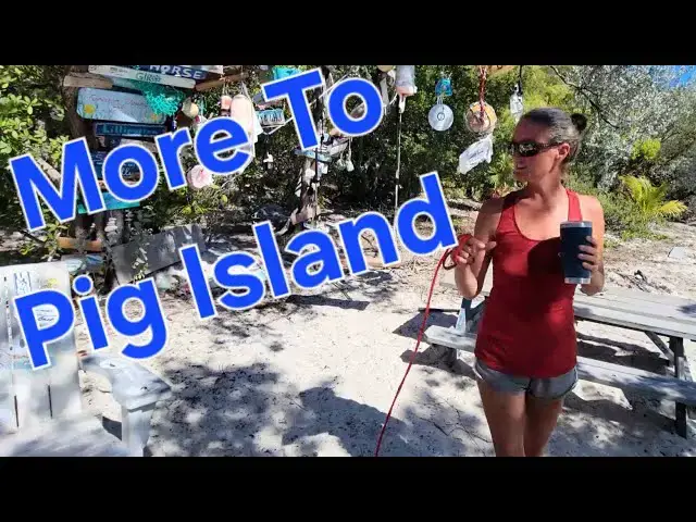 'Video thumbnail for Sailing Life Adventures: Fixing Leaks, Snorkeling, and Generator Troubles | Ep 68 #svaguaazul #boat'