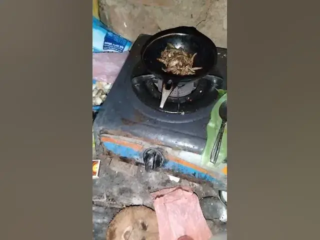 'Video thumbnail for making cat food and giving to my cat to eat'