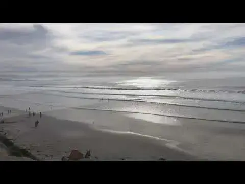 'Video thumbnail for Surfing Torrey Pines State Beach Review'