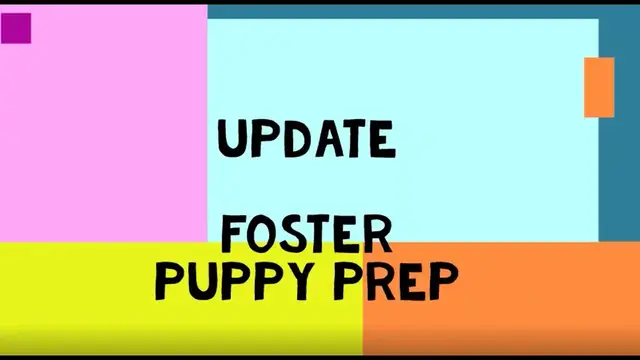 'Video thumbnail for Foster Puppy Prep Update'