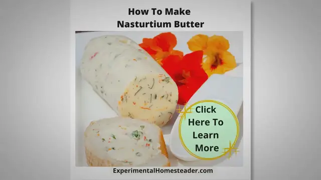 'Video thumbnail for How To Make Nasturtium Butter'