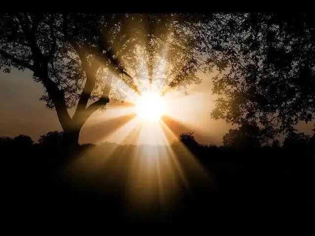 'Video thumbnail for Are You Walking In The Light? A Close Look At 1John 1:5-10 #1john #walkinthelight'