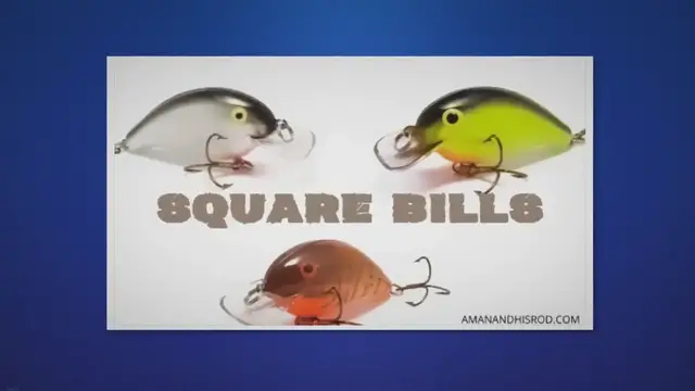 'Video thumbnail for 7 Best Square Bill Crankbaits for Bass Fishing Shallow Water'