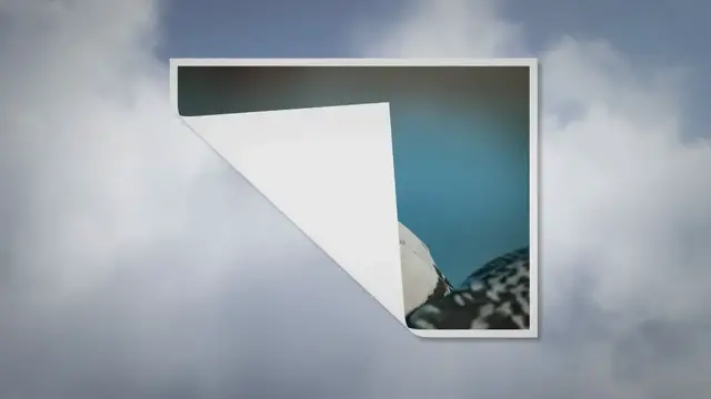 'Video thumbnail for What To Do If You Find A Pigeon Nest On Your Balcony'