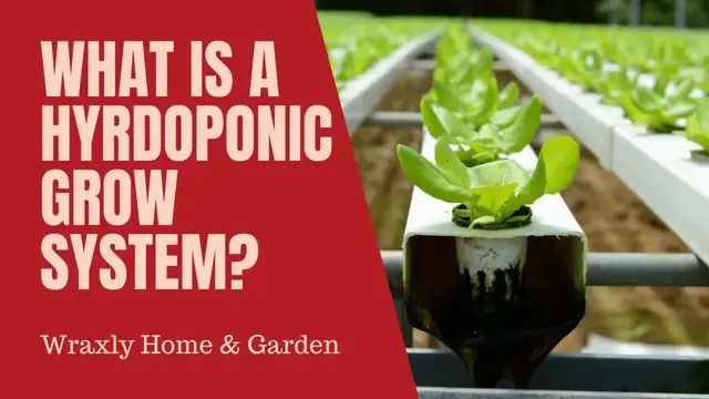 'Video thumbnail for What is a hydroponic grow system?'