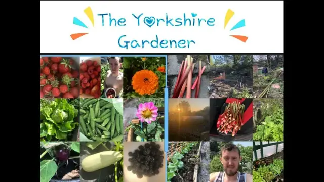 'Video thumbnail for Allotment Update: Gardening Diary Highlights from September 16, 2018!'