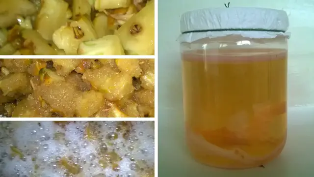 'Video thumbnail for How To Make Vinegar At Home In 7 Easy Steps'