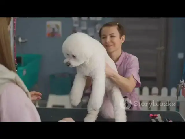 'Video thumbnail for Easing the Transition: 10 Expert Tips to Reduce Pet Stress During a Move'