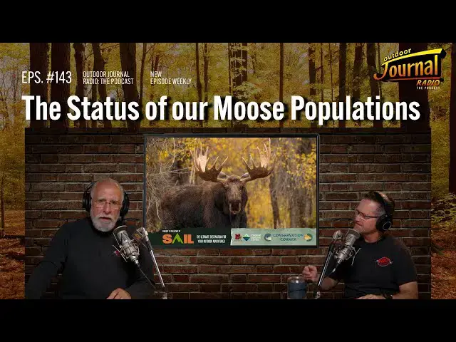 'Video thumbnail for The Status of our Moose Populations | Outdoor Journal Radio ep. 143'