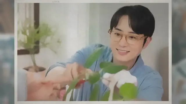 'Video thumbnail for 실내 음지 식물 종류 반지하에서 잘 자라는 식물 TOP 5가지'