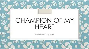 'Video thumbnail for Champion of My Heart Channel Introduction'