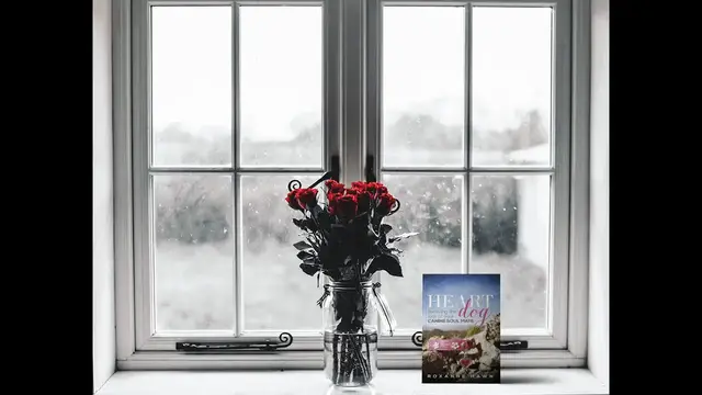 'Video thumbnail for Heart Dog   Surviving the Loss of Your Canine Soul Mate   Pet Loss Book video'