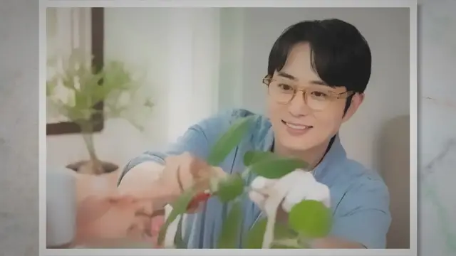 'Video thumbnail for 실내 음지 식물 종류 반지하에서 잘 자라는 식물 TOP 5가지'