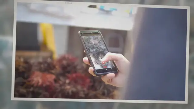 'Video thumbnail for Android WiFi connected but no Internet'