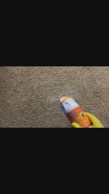 'Video thumbnail for How to deodorize your carpet'