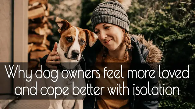 'Video thumbnail for Why dog owners feel more loved and cope better with isolation'