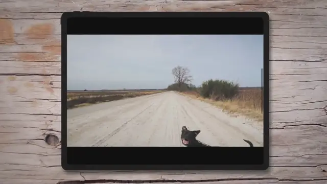 'Video thumbnail for Best GPS Dog Collars and Trackers'