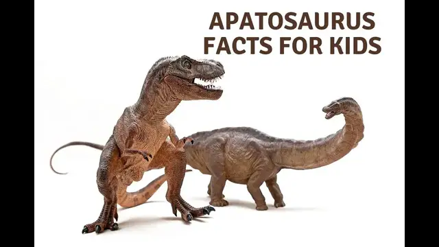 'Video thumbnail for Apatosaurus Facts For Kids'