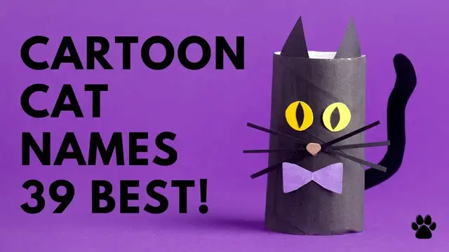 'Video thumbnail for Cartoon Cat Names 39 PAWSOME Ideas '